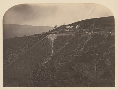 (Mine de pin) - Carleton Watkins