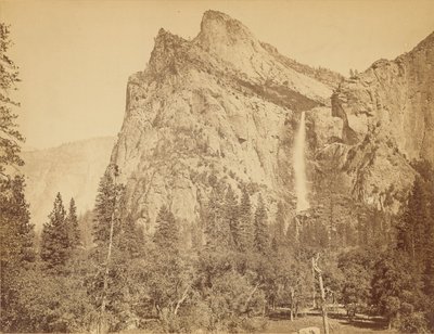  - Carleton Watkins