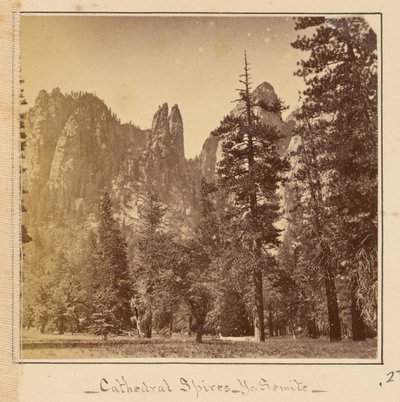  - Carleton Watkins