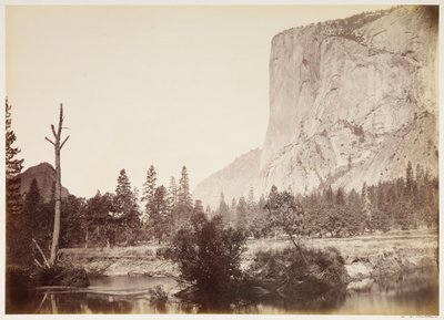  - Carleton Watkins