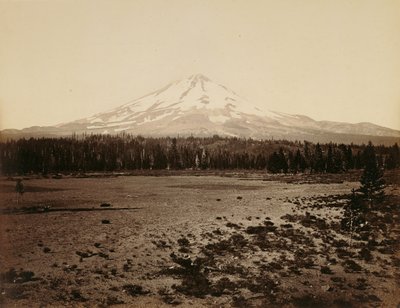  - Carleton Watkins