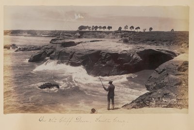  - Carleton Watkins
