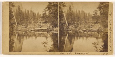 Sur le Merced (n° 51) - Carleton Watkins