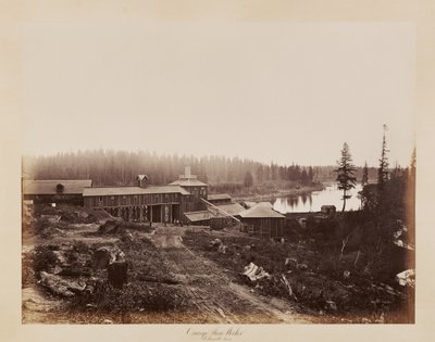  - Carleton Watkins