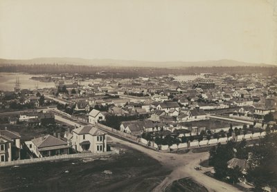 - Carleton Watkins