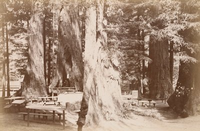  - Carleton Watkins