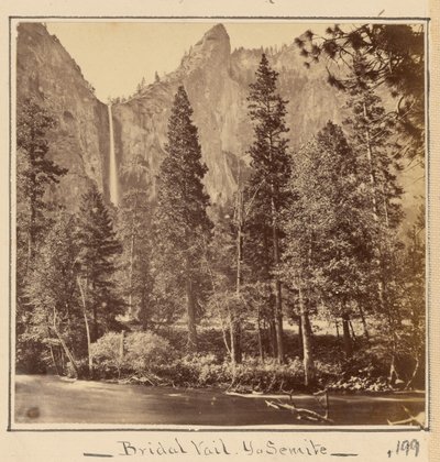  - Carleton Watkins