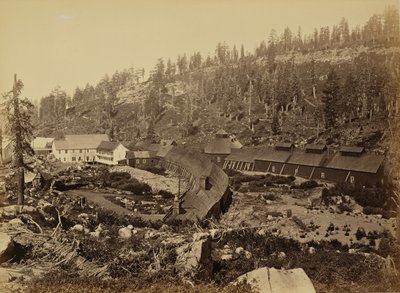  - Carleton Watkins