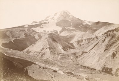  - Carleton Watkins