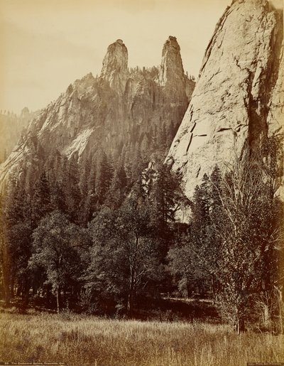  - Carleton Watkins