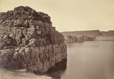  - Carleton Watkins