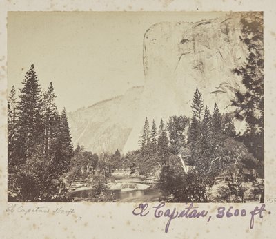  - Carleton Watkins