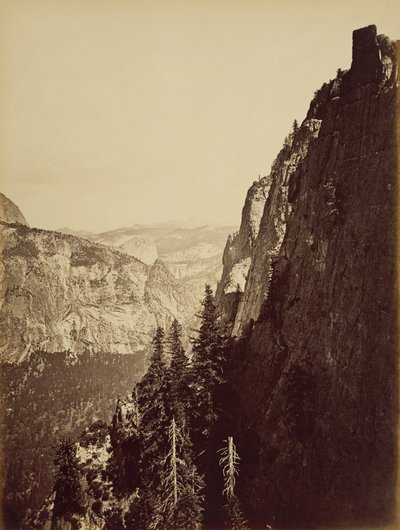  - Carleton Watkins