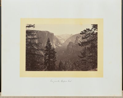  - Carleton Watkins
