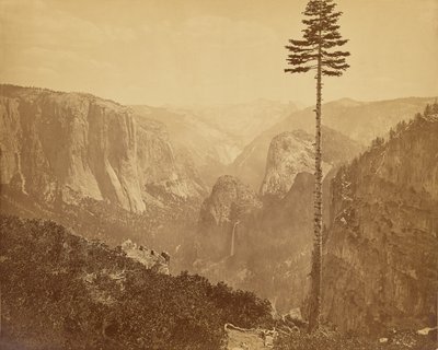  - Carleton Watkins