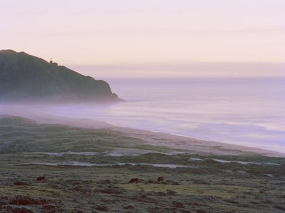 Big Sur, 2014 - Carli Choi