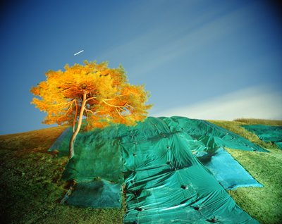 Peinture dans l