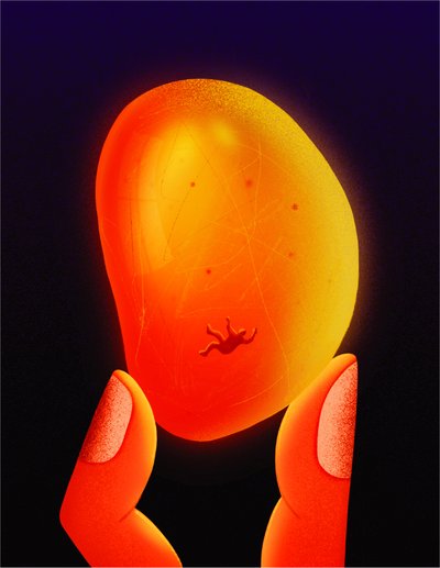 Ambre, 2020 (illustration numérique) - Carlo Alberto Giardina