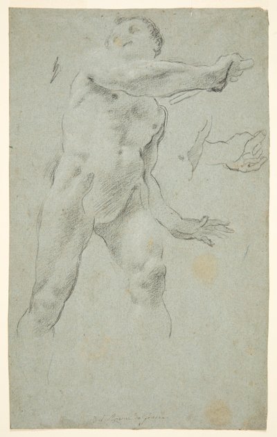 Nu masculin - Carlo Bononi