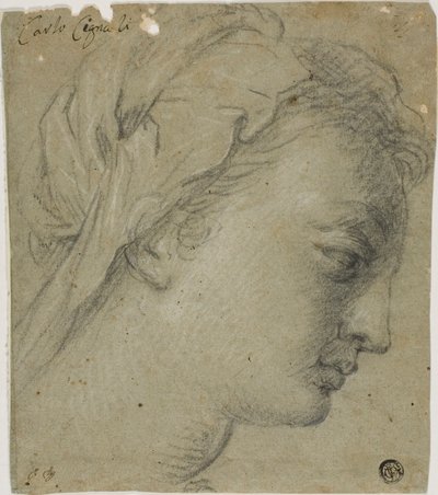 Tête de femme de profil à droite - Carlo Cignani
