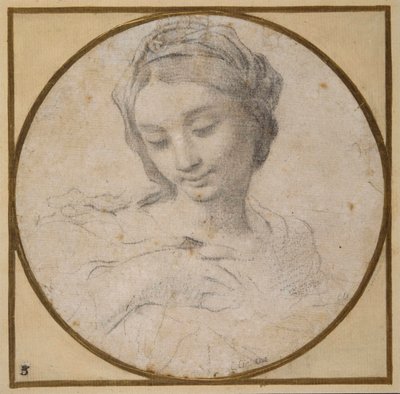 Tête et épaules de la Vierge - Carlo Cignani