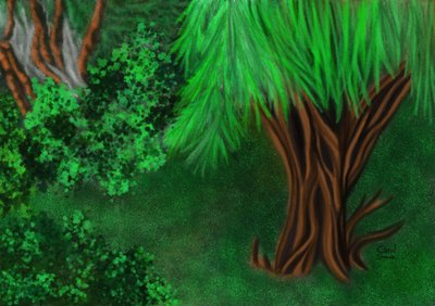 Coin dans le jardin - Carol Sousa Cuello