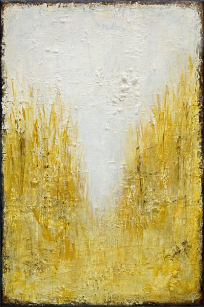 Lumière des champs dorés - Carolina Gårdheim