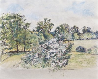 Août depuis notre fenêtre - Caroline Hervey Bathurst