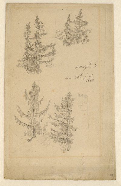 Allemand : Tannenstudien Études sur les sapins - Caspar David Friedrich