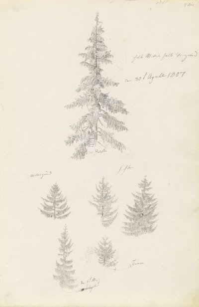 Six études d