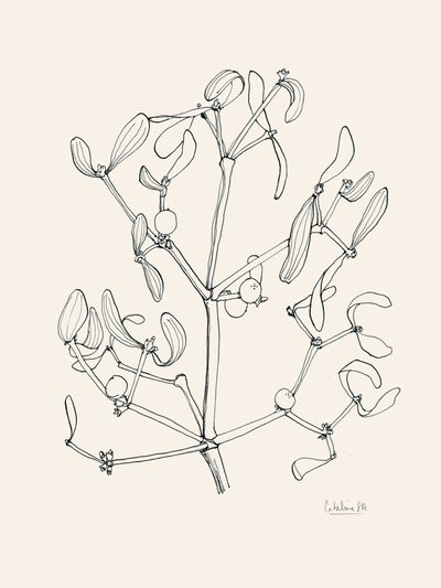 Dessin au trait « Guirlande de gui » pour les fêtes - Catalina Somolinos