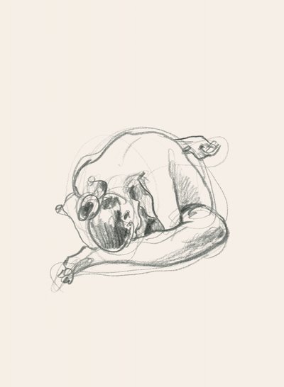 Silhouette recroquevillée - Catalina Somolinos