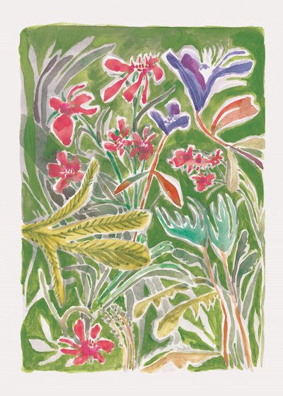 Un jardin sauvage plein de vie - Catalina Somolinos