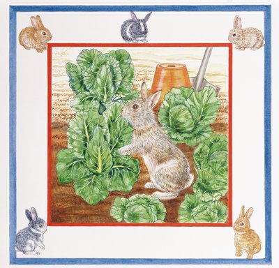 Un Lapin dans le Champ de Choux - Catherine Bradbury