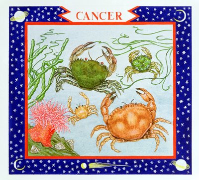 Cancer - Catherine Bradbury