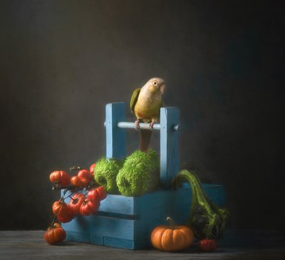 Nature morte d