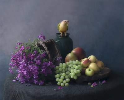 Nature morte au perroquet - Catherine Wang