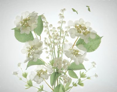 Bouquet « White Lily Valley » - Catherine Wang