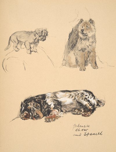 Pékinois, Chow et Épagneul, 1930, Illustrations de son carnet de croquis utilisé pour Just Among Friends, Aldin, Cecil Charles Windsor (1870-1935), publié plus tard par Eyre and Spottiswoode Limited, 1934 - Cecil Charles Windsor Aldin