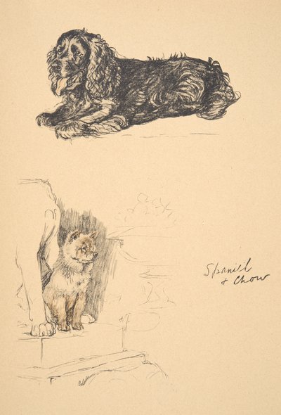 Épagneul et Chow, 1930, Illustrations de son carnet de croquis utilisé pour Just Among Friends, Aldin, Cecil Charles Windsor (1870-1935), publié plus tard par Eyre and Spottiswoode Limited, 1934 - Cecil Charles Windsor Aldin