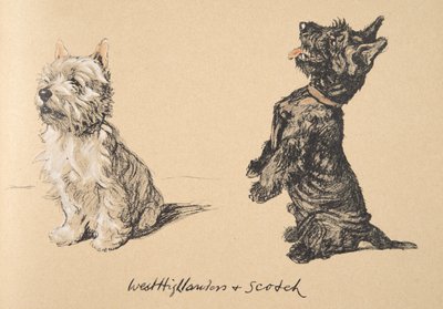 West Highlander et Scotch, 1930, Illustrations de son carnet de croquis utilisé pour 