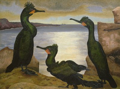 Cormorans - Cedric Morris