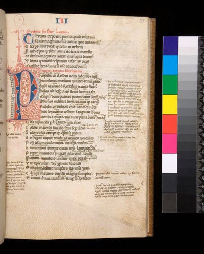 Ms 325. Lucain, Bellum Civile, et autres œuvres, f.35r. Initiale partagée [P] en rouge et bleu avec ornementation contrastante, vers 1353 (parchemin) - Central Italian School