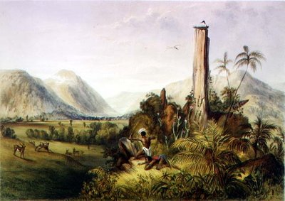 Pure-Piapa, une pierre basaltique remarquable en Guyane, de 