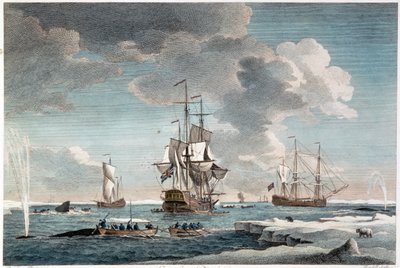 Pêche au Groenland, gravée par John Boydell (1719-1804) 1754 (gravure en couleurs) - Charles (after) Brooking