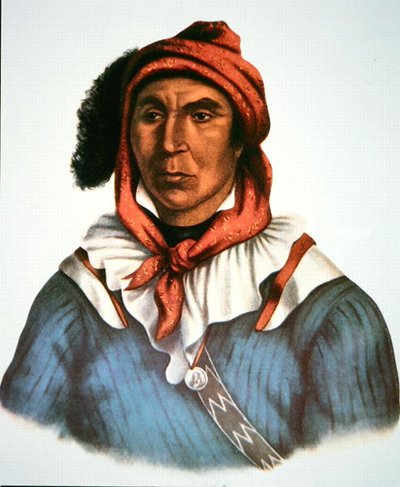 Julcee Mathla - Charles Bird King