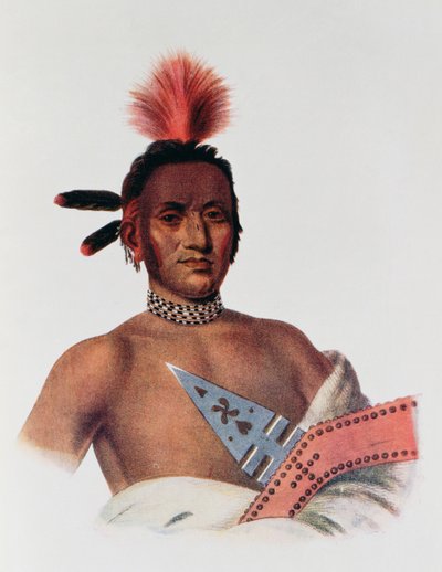Moa-Na-Hon-Ga ou 