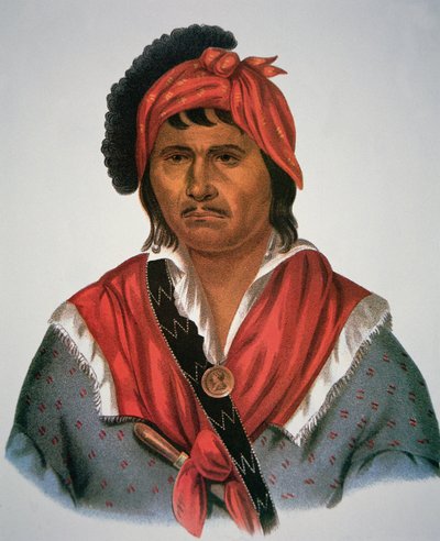 Chef Neamathla - Charles Bird King