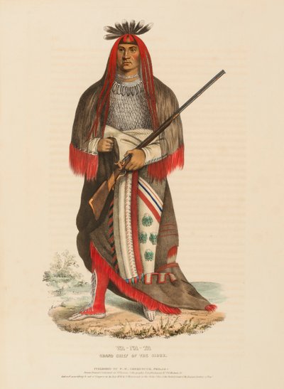 WA-NA-TA. GRAND CHEF DES SIOUX, extrait de History of the Indian Tribes of North America (Histoire des tribus indiennes d