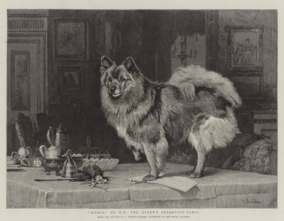 Marco sur la table de petit-déjeuner de Sa Majesté la Reine - Charles Burton
